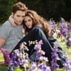 Twilight-Breaking-Dawn-Pt-2-ddp Twilight-Breaking-Dawn-Pt-2-ddp