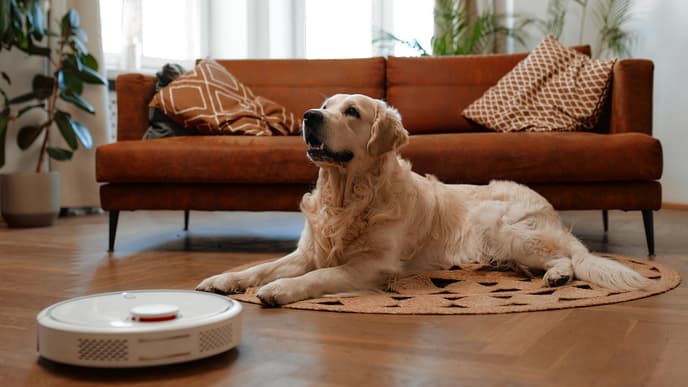 Darum möchte ich den Roborock Qrevo Curv nicht mehr missen Darum möchte ich den Roborock Qrevo Curv nicht mehr missen